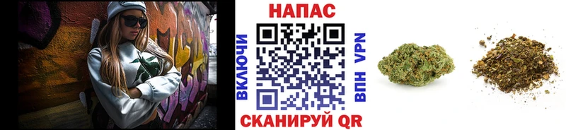 Наркошоп Владикавказ COCAIN МЕФ A PVP МАРИХУАНА Псилоцибиновые грибы ГАШИШ