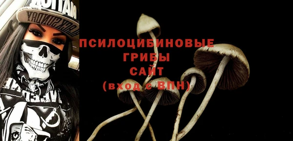 стаф Абаза