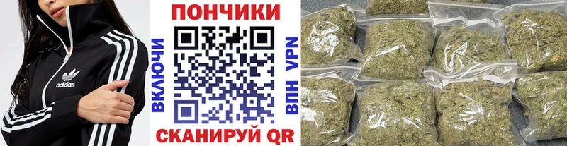 Шишки марихуана планчик Владикавказ
